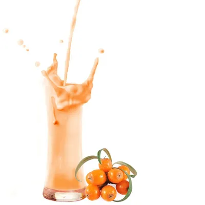 Image de Sandbuckthorn poudre de milkshake 10 kg