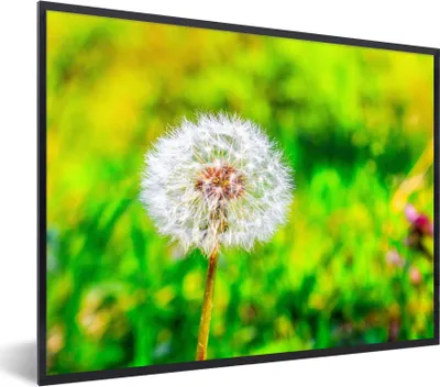 Produktbild von MuchoWow® Gerahmtes Poster Löwenzahn - Gras - Blume 40x30 cm - Poster mit Schwarzem Bilderrahmen Wandposter Rahmen Foto Bilder - Kunstposter - Wanddekorationen