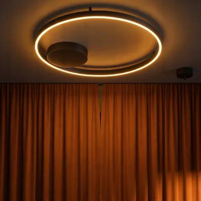Productafbeelding van Plafondlamp Hedra rond Ø 60cm zwart, AI-gegenereerde afbeelding