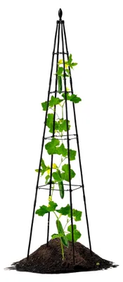 Produktbild von Rankgitter für Kübelpflanzen, Unterstützung für Kletterpflanzen und Blumen - Rankhilfe für Topfgemüse und Zimmerpflanzen
