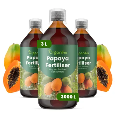 Obrázek produktu pro Papája Tekuté Hnojivo 3x1 L – 2-1-8 NPK – Pro Papáju – Podporuje Rovnomerný Růst & Stabilnú Štruktúru – Organifer