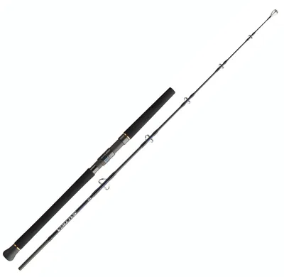 Produktbild von Saltiga Jigging