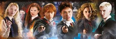 Obrázok produktu pre Harry Potter 1000 panoramatických puzzle