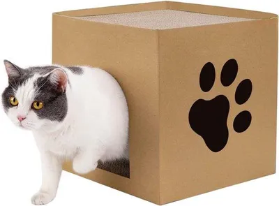 Image de Nid pour chat en carton - 30 x 30 x 30 cm - Pour chats et petits animaux - Blanc