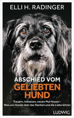 Image de Abschied vom geliebten Hund