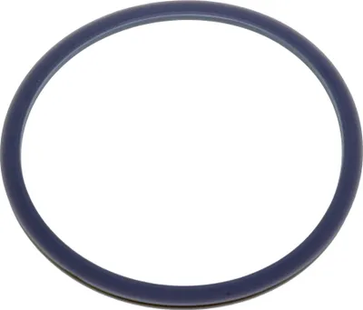 A blue rubber ring on a white background.