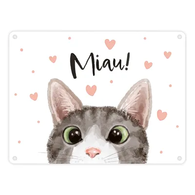 Produktbild von Miau Katze Metallschild in 15x20 cm