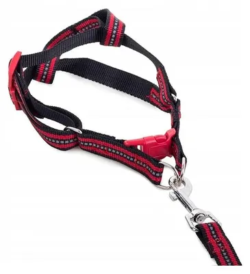 Immagine prodotto di Verk 19126 Pettorina in nylon con guinzaglio per cani 125 x 1,5 cm, rossa