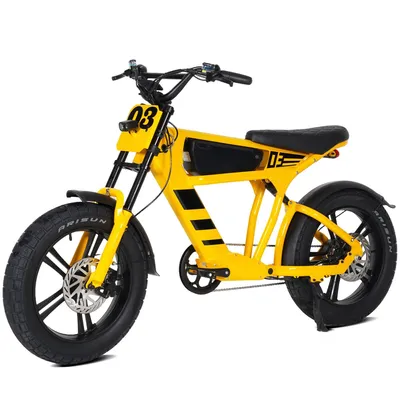 Produktbild von E-Bike Cityrad Damen Herren 20x4,0'' Citybike, 873WH Pedelec, 48V 250W, max.120km Kettenschaltung, Heckmotor, 873 Wh, MTB E Mountainbike Pedelec