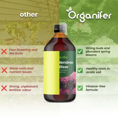 Produktbild von Rhododendren Flüssigdünger 2x1L – 2-1-8 NPK – Flüssig-Pflanzendünger für Rhododendren – Organifer