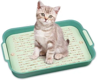 Immagine prodotto di Piccola lettiera per animali, grande, verde