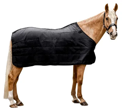 Produktbild von Thermo Unterdecke, 100 g, schwarz, 155 cm