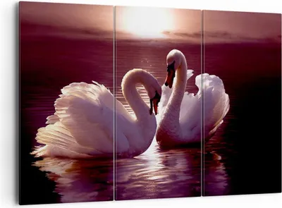 Produktbild von Bild auf Leinwand - Leinwandbild - Schwäne Landschaft Wasser - 165x110cm - Wand Bild - Wanddeko - Leinwanddruck - Bilder - Kunstdruck - Wanddekoration - Leinwand bilder - Wandkunst - CE165x110-0223