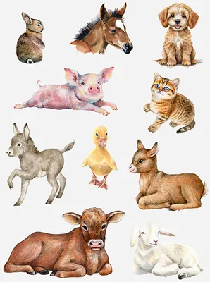 Produktbild von Kindertattoo Bauernhof