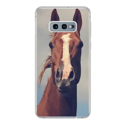 Produktbild von MuchoWow® Handyhülle Schutzhülle Hülle für Samsung Galaxy S10e Pferd - Wolken - Porträt Silikon Softcase Handy Hülle - Handy