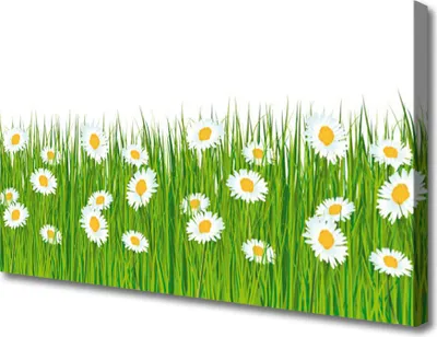 Produktbild von Tulup Leinwand-Bilder 100x50 Wandbild Canvas Kunstdruck Gras Gänseblümchen Natur