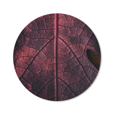 Produktbild von MuchoWow® Mauspad Mousepad Abstrakt - Rot - Blätter - Pflanze 30x30 cm - Mousepads - Maus Mat - Pad - Mausunterlage - Tischunterlage - Schreibtischmatten