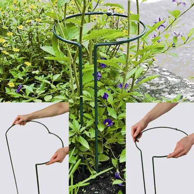 Produktbild von Pflanzenstütze vollrund 55 cm verstellbar