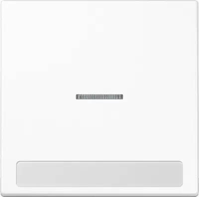Immagine prodotto di Jung rocker light/font aws LS 990 NAKO5 WW LS990NAKO5WW