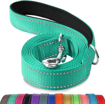 Produktbild von Reflektierende Hundeleine 1,8 m, für kleine und mittelgroße Hunde, Nylon, gepolsterter Griff, sicher für