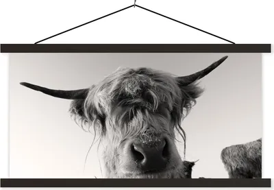Produktbild von MuchoWow® Textilposter Schottisches Hochlandrind - Schwarz - Weiß - Tiere 90x45 cm mit schwarzem Rahmen - Klemmleisten