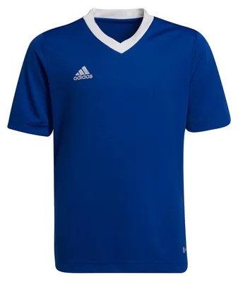 Produktbild von adidas Entrada 22 Trikot 164 ROYBLU