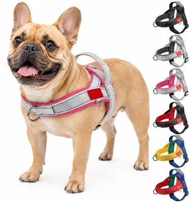 Imagen del producto de Arnés para perros, talla L, ajustable, antiladridos, con asa, para perros pequeños