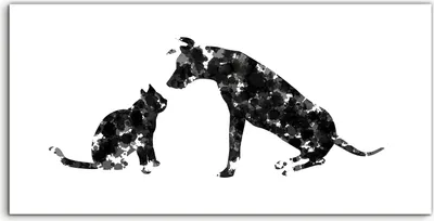Produktbild von Coloray - Glasbild - 120x60 cm - Wandbild - Glasbilder - Foto Bild abstrakte Katze und Hund