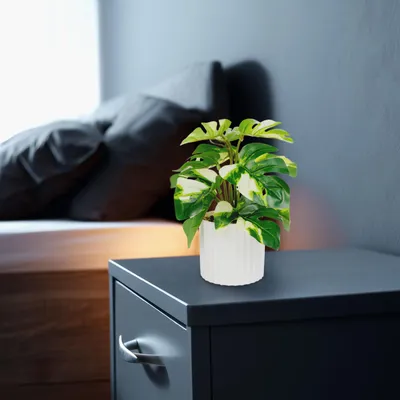Obrázek produktu pro Umělá rostlina – dekorace do interiéru – filodendron – zelená/žlutá – 20 x 8 cm, 1 kus [11892B], Obrázek vytvořený pomocí AI