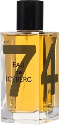 Obrázek produktu pro Iceberg - Eau de Iceberg Amber - Pro muže, 100 ml
