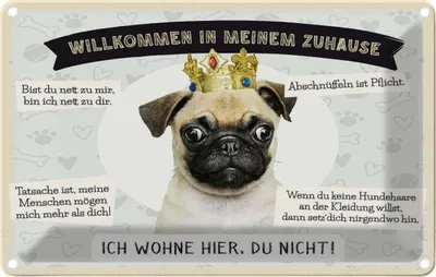 Produktbild von vianmo Blechschild 20x30 cm Tiere Mops willkommen wohne hier Hund