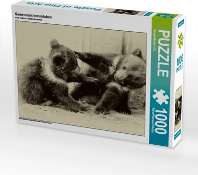 Produktbild von Calvendo Gemeinsam herumtoben 1000 Teile Puzzle quer 640x480mm, Michel / CH Susan; 7288946