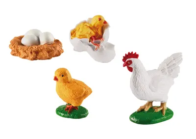 Produktbild von EDUPLAY 120765 Lebenszyklen Huhn