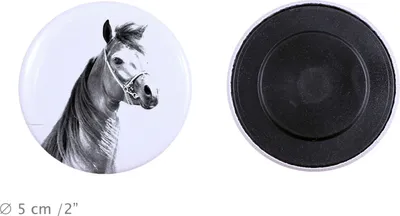 Produktbild von Arabisches Pferd - Magnet mit Pferd, ein einzigartiges Abdruck des Pferdes der Marke Art-Dog