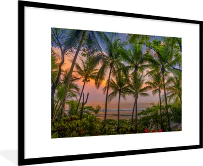 Produktbild von MuchoWow® MuchoWow® Gerahmtes Poster Palme - Tropisch - Meer 90x60 cm - Poster mit zchwarzem Bilderrahmen - Wanddekoration - Fotos