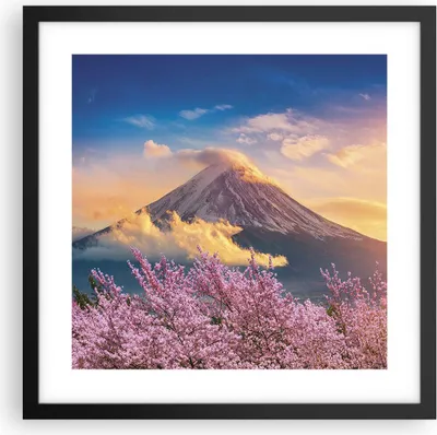 Produktbild von Gerahmtes Poster - Schwarzer Rahmen - Fuji Blume Kirsche - 40x40 cm - Wand Bild - Wanddeko - Wandbilder - Kunstposter - Wandposter - Bilderrahmen - Bilder - Kunstdruck - P2BAC40x40-4490