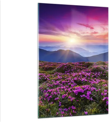 Produktbild von Bilder auf glas - Einteilig - Wiese Berg Himmel Landschaft - 80x120cm - Glasbilder - Wandbilder - Bilder - Wanddekoration aus Glas - Glas Bilder - Wandbild auf Glas - GPA80x120-2719