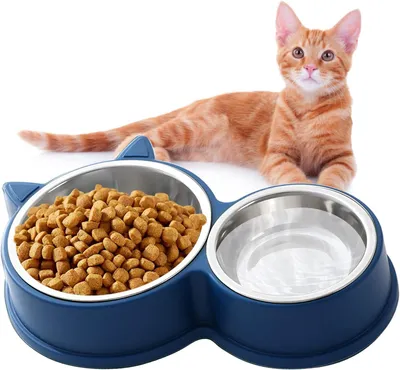 Produktbild von Doppelter Edelstahl-Katzennapf – Welpenfutter- und Wassernapf (Blau)