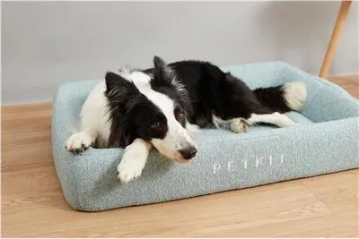 Image de PETKIT | Deep Sleep All Season Pet Bed L | Green
