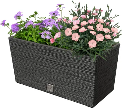 Produktbild von Blumenkasten Meißel Balkonkasten Pflanzkasten Anthrazit L 39,5 cm mit Topf Einsatz Pflanzkübel Einzigartiger Blumentopf Kunststoff
