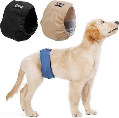 Produktbild von Famanu Wasbare Hundewindeln Hygienische Unterhosen - Hitzebedingte Inkontinenz - 6 Größen (3 Stück M 40-50 cm)