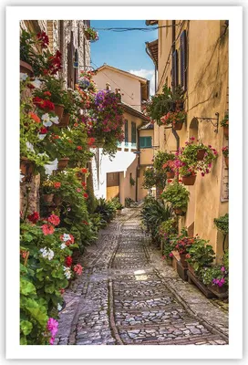 Produktbild von Poster - Poster ohne Rahmen - Path Blumen Haus Hof - 61x91,5 cm - Wand Bild - Wanddeko - Wandbilder - Kunstposter - Wandposter - Bilder - Kunstdruck - Wanddekoration - Wandbild - P2XPA61x91-3183