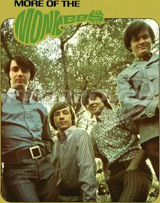 Produktbild von The Monkees - More Of The Monkees (2 LP)