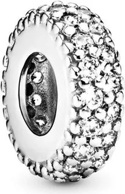 A close-up studio shot of a Pandora charm.