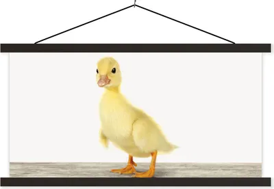Produktbild von MuchoWow® Textilposter Ente - Küken - Tiere - Süß - Mädchen - Jungen - Kinder 120x60 cm mit schwarzem Rahmen - Dekoration Schlafzimmer
