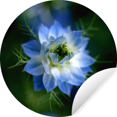 Produktbild von MuchoWow® - Wandbild - Fototapete - Selbstklebend - Dekoration - Wandschmuck - Schlafzimmer