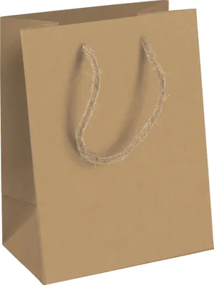 Produktbild von Clairefontaine 6x Tasche aus Kraftpapier, 21,5x10,2x25,3 cm Kartonbraun 28800-3C
