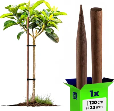 Produktbild von KADAX Holzstäbe 120 cm x 23 mm, 1er Set, Pflanzstäbe aus imprägniertem Holz, Holzpfähle als Rankhilfe für Pflanzen, Bäume, Tomaten & Sträucher, Tomatenstäbe (1 Stück, 120 cm)