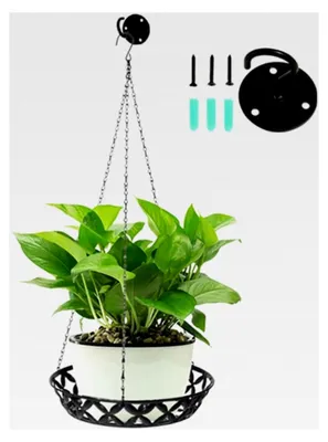 Produktbild von Metallpflanzenaufhänger - Hängende Blumenampel für Innen mit Deckenhaken und Hängekette