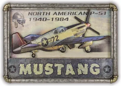 Immagine prodotto di Insegna vintage in latta con cornice in metallo, aeroplano 42,5x40 cm, colorata